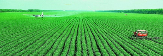 糧食種植新建實(shí)驗(yàn)室檢測(cè)項(xiàng)目及儀器方案 糧食種植新建實(shí)驗(yàn)室檢測(cè)項(xiàng)目及儀器方案