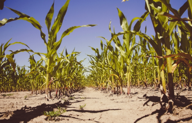 �����ؽ����ٜy(c��)�x